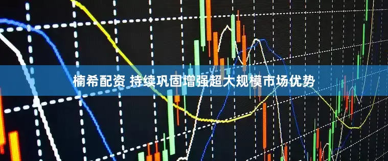 楠希配资 持续巩固增强超大规模市场优势