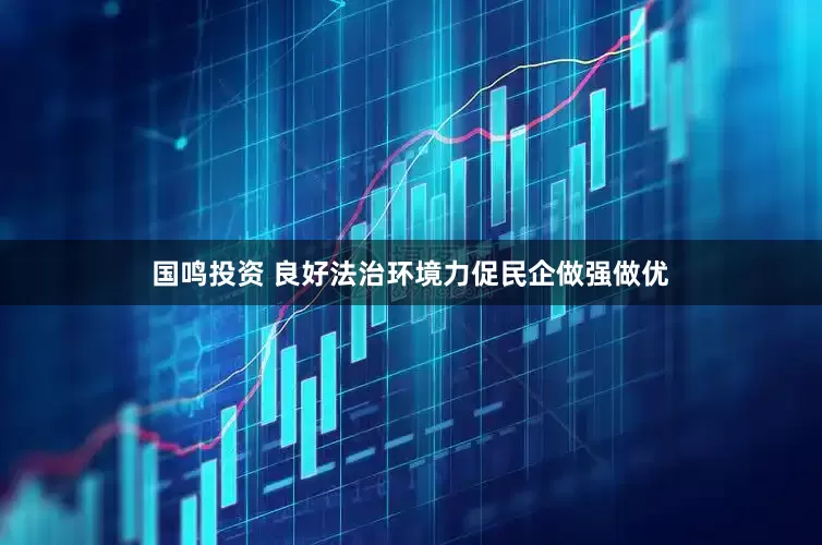 国鸣投资 良好法治环境力促民企做强做优