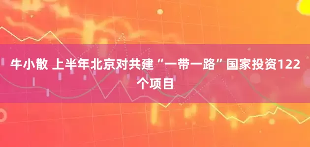 牛小散 上半年北京对共建“一带一路”国家投资122个项目