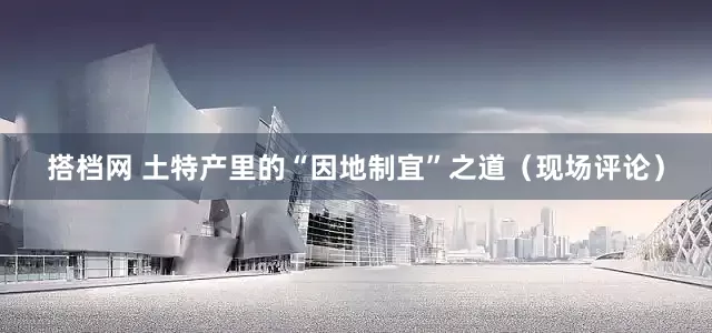 搭档网 土特产里的“因地制宜”之道（现场评论）