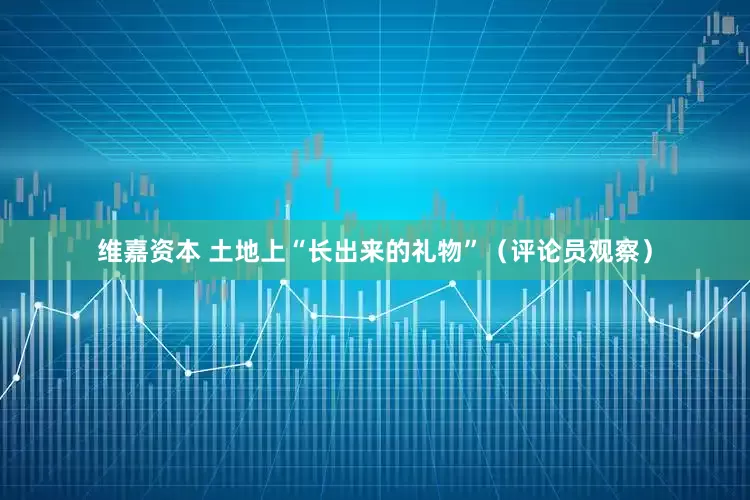 维嘉资本 土地上“长出来的礼物”（评论员观察）