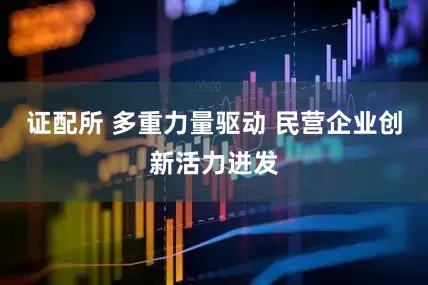 证配所 多重力量驱动 民营企业创新活力迸发