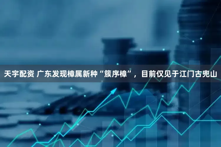 天宇配资 广东发现樟属新种“簇序樟”，目前仅见于江门古兜山
